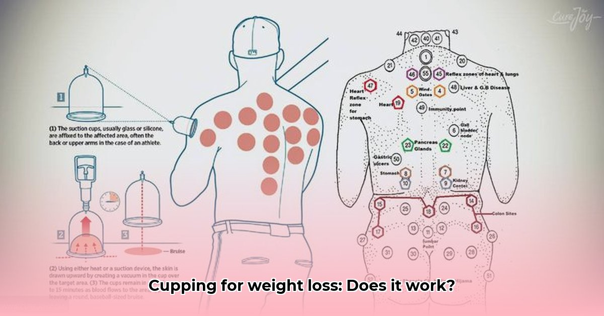 how-often-should-you-do-cupping-for-weight-loss